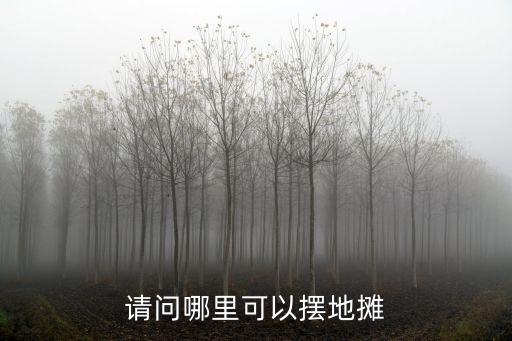 眉山哪里適合擺地攤,請問哪里可以擺地攤