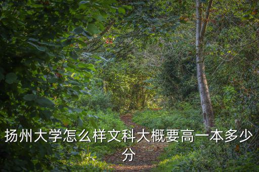揚(yáng)州大學(xué)編導(dǎo)生需要多少分,揚(yáng)州大學(xué)怎么樣