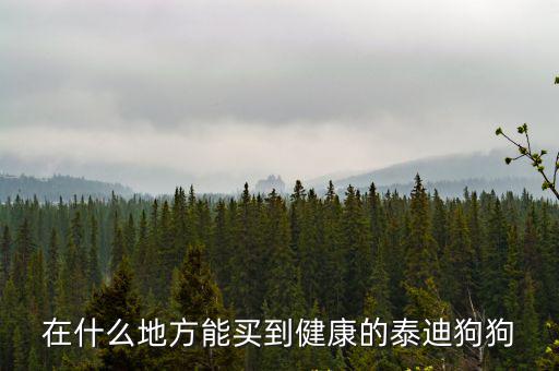 在什么地方能買到健康的泰迪狗狗