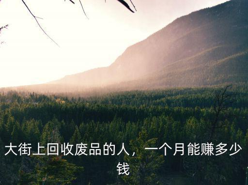 大街上回收廢品的人，一個月能賺多少錢