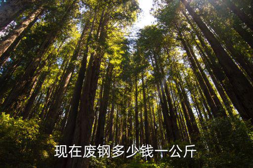 現在廢鋼多少錢一公斤