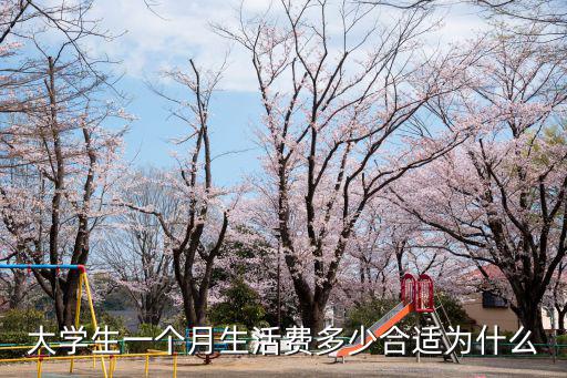 大學生一個月生活費多少合適為什么