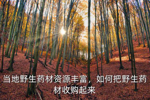 當地野生藥材資源豐富，如何把野生藥材收購起來