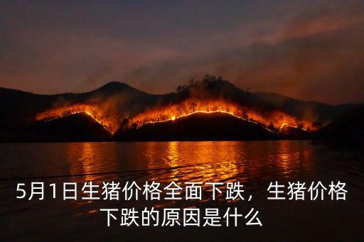 徐州4月1日生豬價格多少錢,5月1日生豬價格全面下跌