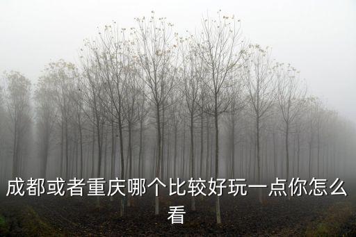 成都或者重慶哪個比較好玩一點你怎么看