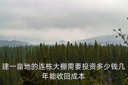 淮安建造連棟大棚多少錢,建大棚大概需要投資多少錢