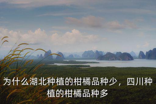 為什么湖北種植的柑橘品種少，四川種植的柑橘品種多