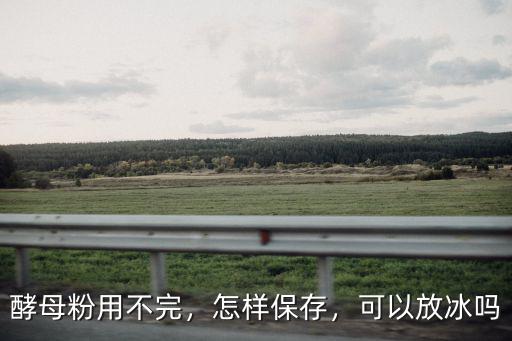 酵母粉用不完，怎樣保存，可以放冰嗎