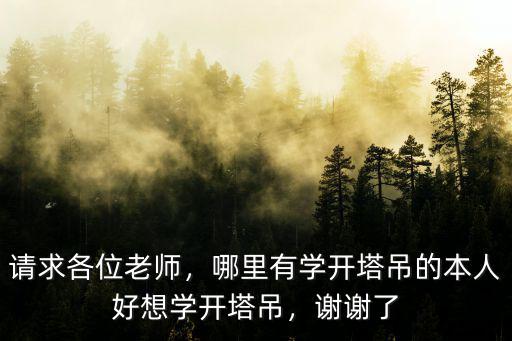 洛陽(yáng)哪里有學(xué)塔吊的,哪里有學(xué)開塔吊的