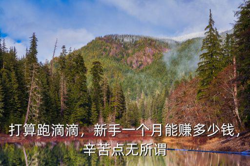 打算跑滴滴，新手一個月能賺多少錢，辛苦點無所謂