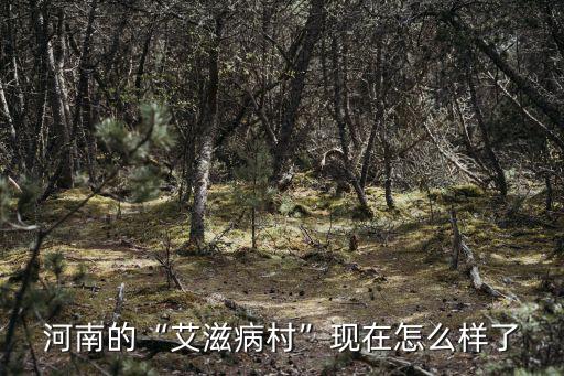 截止到2019年河南有多少艾滋病人,中國現在還有多少艾滋病人