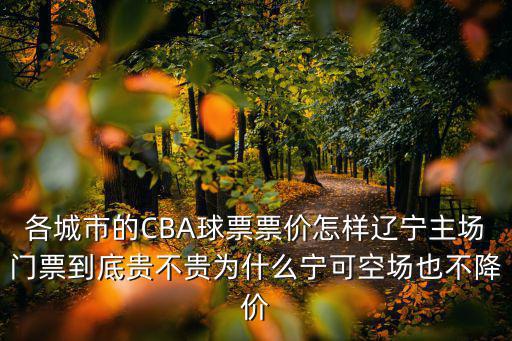 江蘇主場cba門票多少錢,看主場比賽最少多少錢
