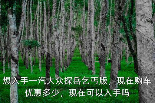 鹽城探岳優惠多少錢,全款落地多少錢