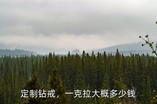 定制鉆戒，一克拉大概多少錢