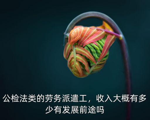 公檢法類的勞務派遣工，收入大概有多少有發展前途嗎