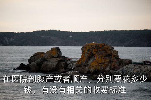 南京剖腹產住院花多少錢,分別要花多少錢
