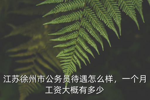 江蘇徐州市公務員待遇怎么樣，一個月工資大概有多少