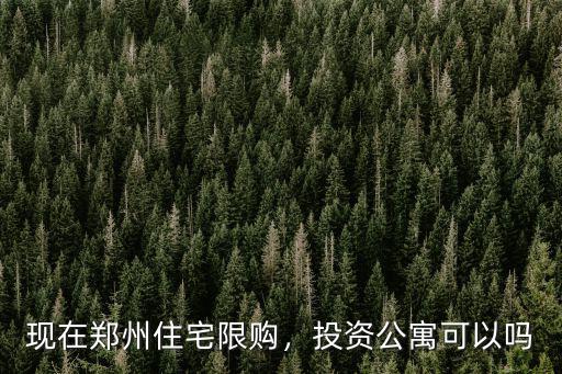 鄭州公寓投資怎么樣,在鄭州投資房產怎么樣