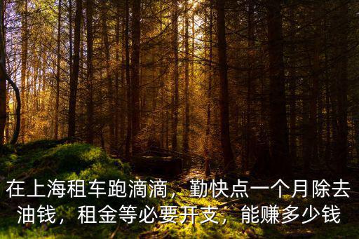 在上海租車跑滴滴，勤快點(diǎn)一個月除去油錢，租金等必要開支，能賺多少錢