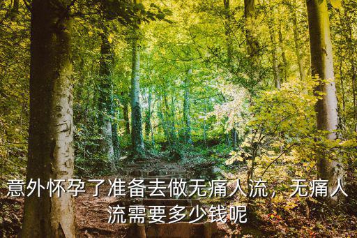 蘇州無痛人流醫(yī)院多少錢知同濟8,無痛人流需要多少錢呢
