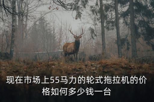 常州五十五馬力拖拉機多少錢一臺,旋耕機大概多少錢一臺