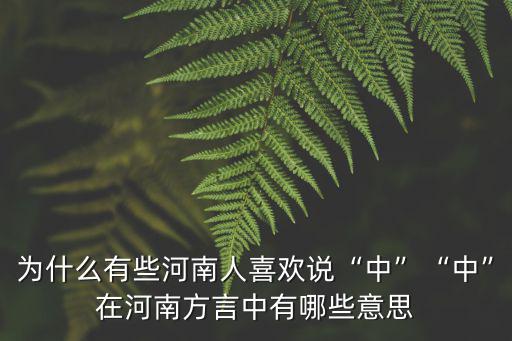 為什么有些河南人喜歡說“中”“中”在河南方言中有哪些意思