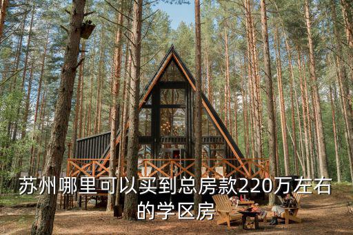 蘇州哪里可以買到總房款220萬左右的學區房