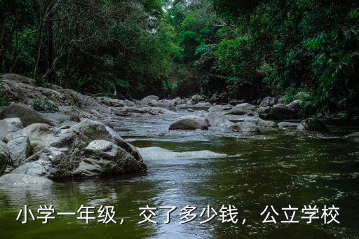 小學一年級，交了多少錢，公立學校