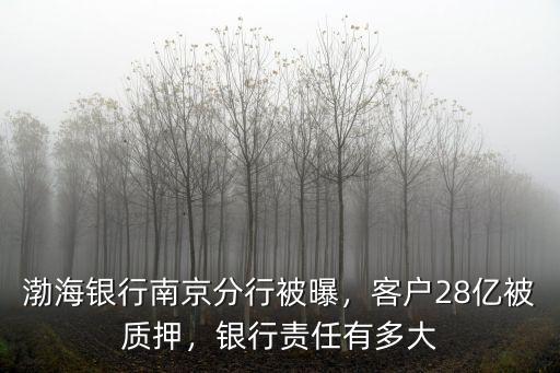南京渤海銀行客服電話是多少,渤海銀行南京分行被曝