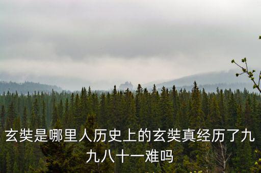 河南唐僧是哪里人,玄奘是哪里人