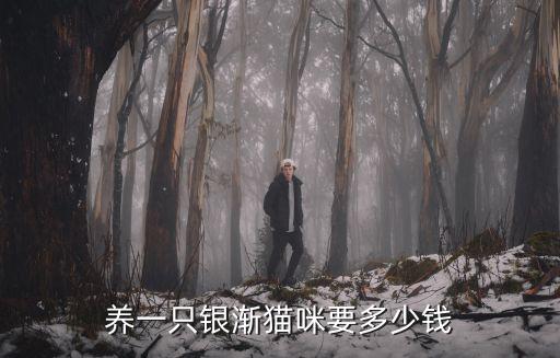 揚(yáng)州養(yǎng)貓多少錢一只,銀漸層貓多少錢一只