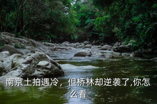 南京土拍金額多少,南京土拍遇冷