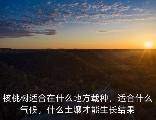 四川哪里適合種植核桃樹,核桃樹適合在什么地方載種