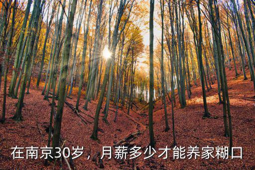 南京30歲工資是多少錢,月薪多少才能養家糊口