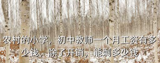 農村的小學，初中教師一個月工資有多少錢，除了開銷，能剩多少錢