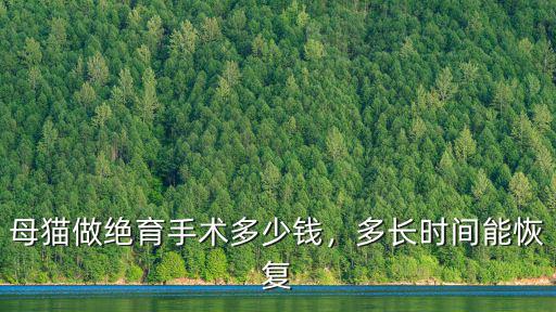 母貓做絕育手術多少錢，多長時間能恢復
