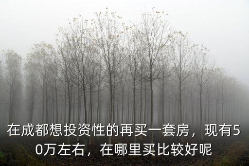 在成都想投資性的再買一套房，現有50萬左右，在哪里買比較好呢