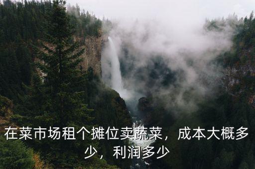 鹽城蔬菜批發(fā)市場(chǎng)攤位費(fèi)多少,在菜市場(chǎng)租個(gè)攤位賣蔬菜