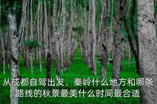 從成都自駕出發，秦嶺什么地方和哪條路線的秋景最美什么時間最合適