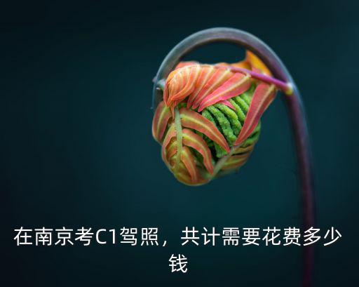 在南京考C1駕照，共計需要花費多少錢