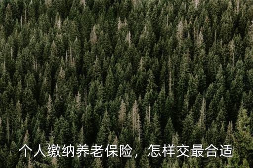 許昌縣個人養老保險怎么交,個人繳納養老保險