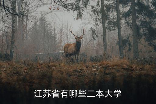 江蘇省有哪些二本大學