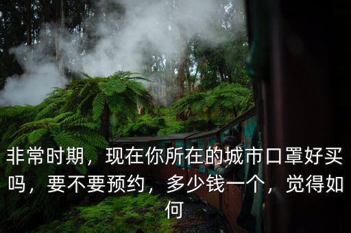 非常時期，現在你所在的城市口罩好買嗎，要不要預約，多少錢一個，覺得如何