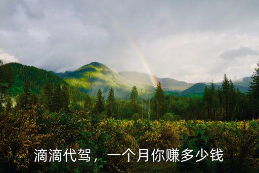 代駕一個月能掙多少錢蘇州,一個月究竟能賺多少錢