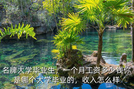 名牌大學畢業生，一個月工資多少錢你是哪個大學畢業的，收入怎么樣