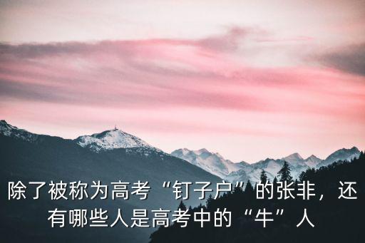 南充高考張非是哪里人,除了被稱為高考釘子戶的張非