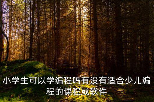 小學生可以學編程嗎有沒有適合少兒編程的課程或軟件
