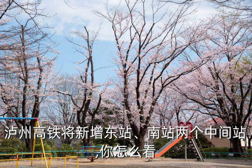 瀘州站和瀘州東站在哪里,瀘州東站為什么獲批