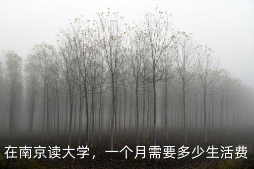 南京鐵道學(xué)院每月生活費(fèi)多少錢,在南京上大學(xué)一年要花多少錢
