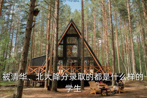 被清華、北大降分錄取的都是什么樣的學(xué)生